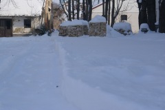 SONY DSC