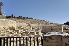 IMG_20191130_134532