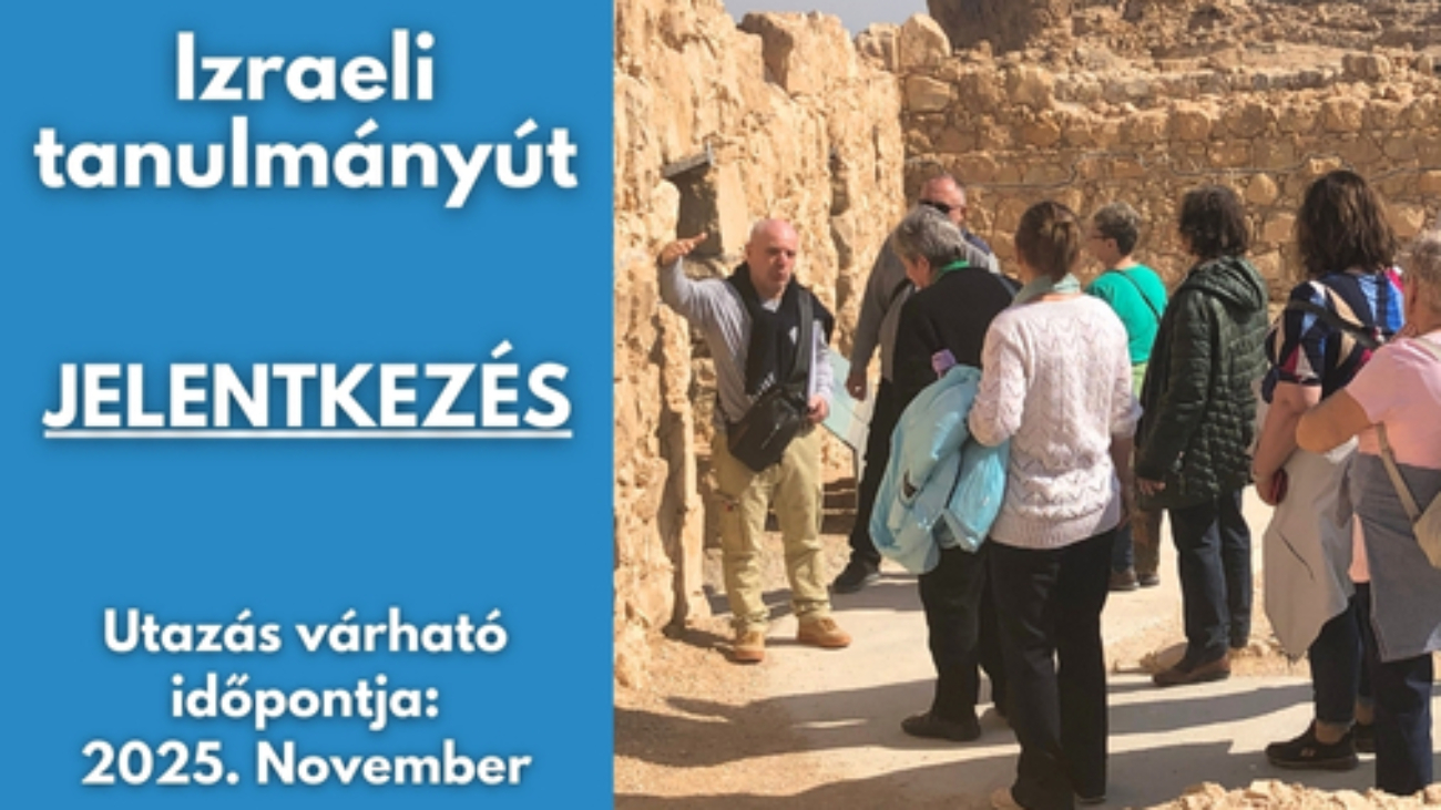 gyüli, dokk méret