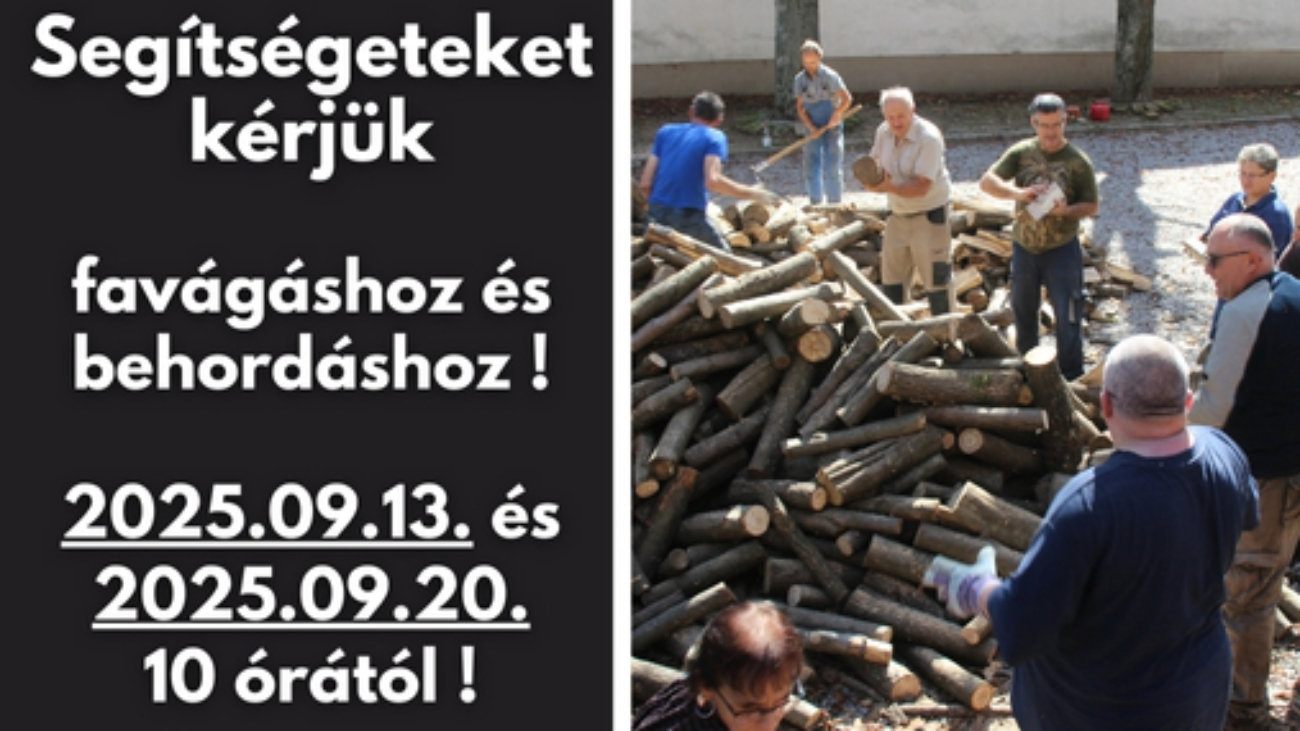 Gyüli, DOKK hírméret
