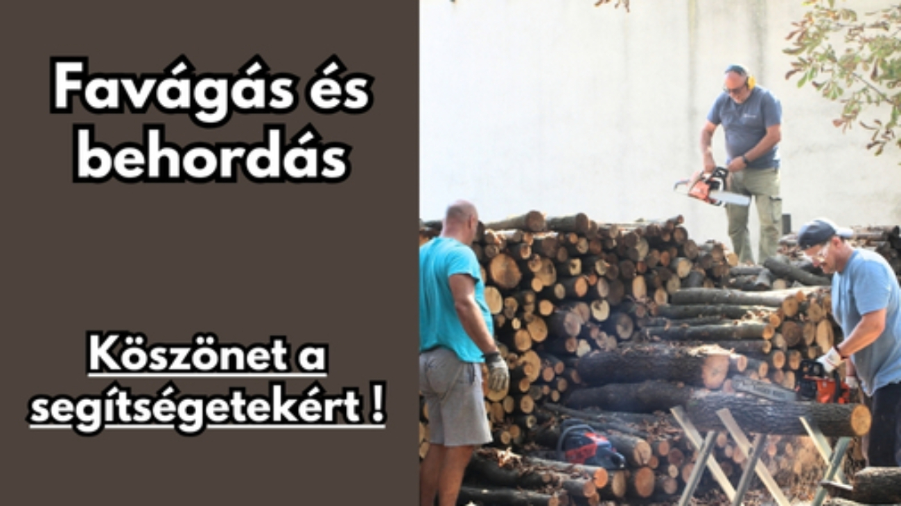 Gyüli, DOKK hírméret 2