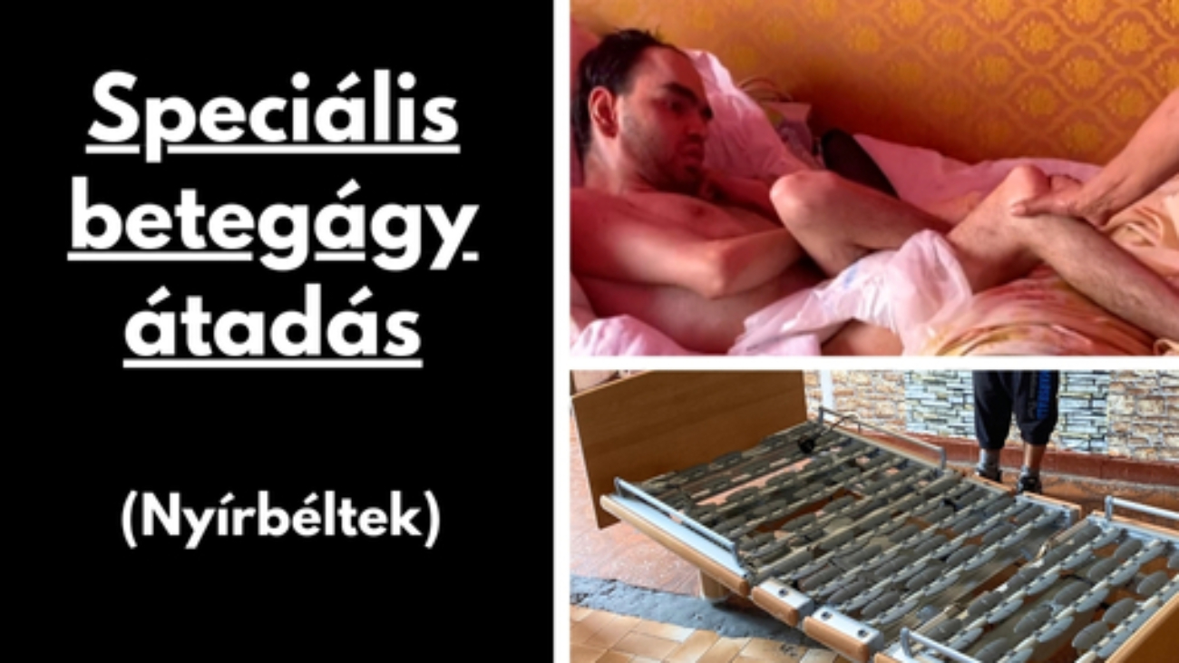 Gyüli, DOKK hírméret