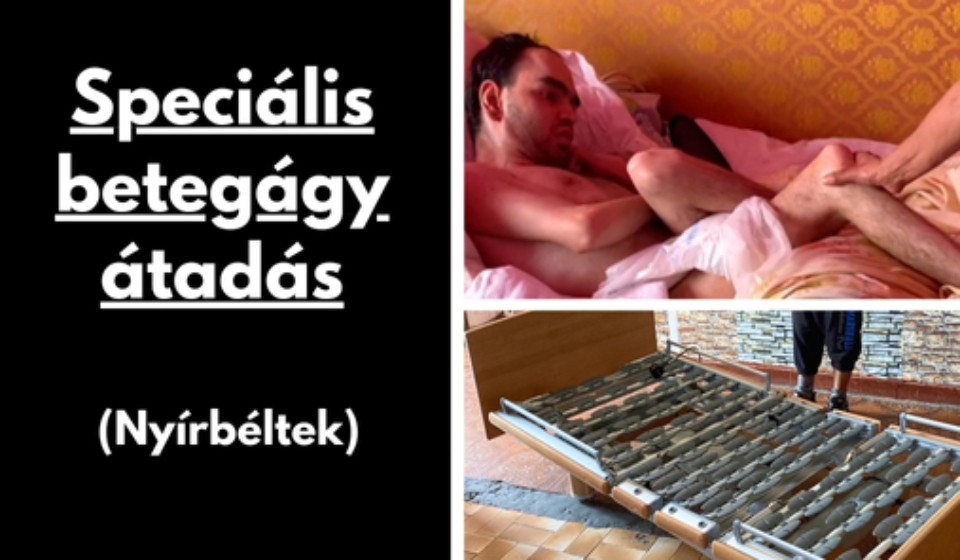 Gyüli, DOKK hírméret