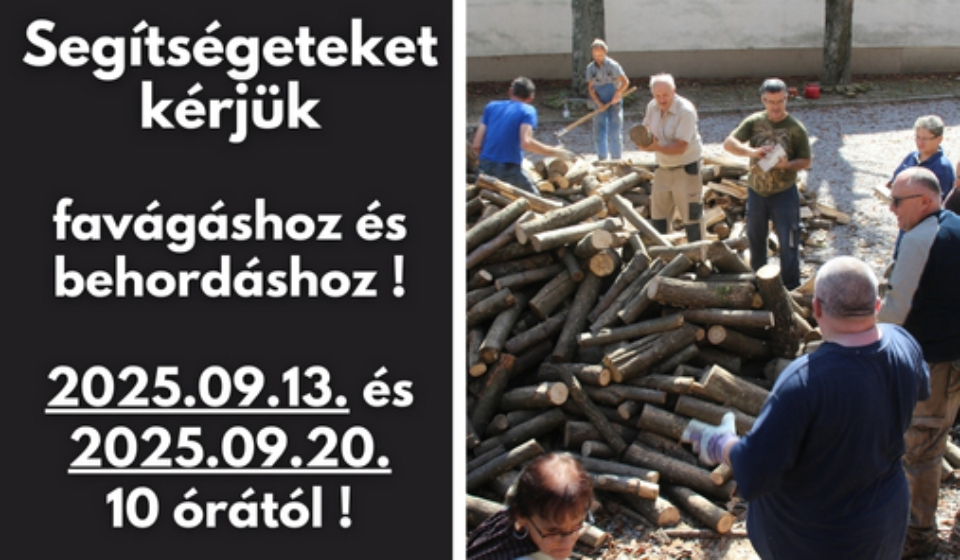Gyüli, DOKK hírméret