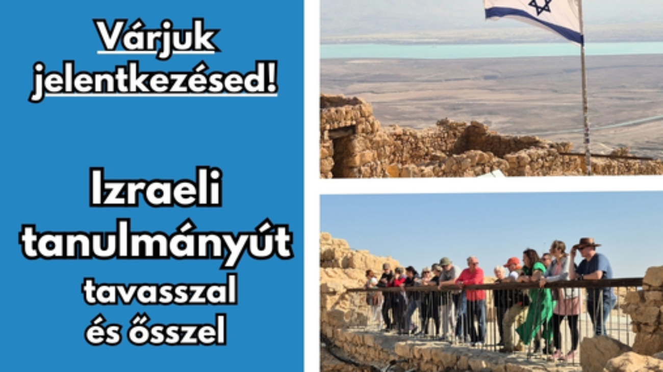 Gyüli, DOKK hírméret