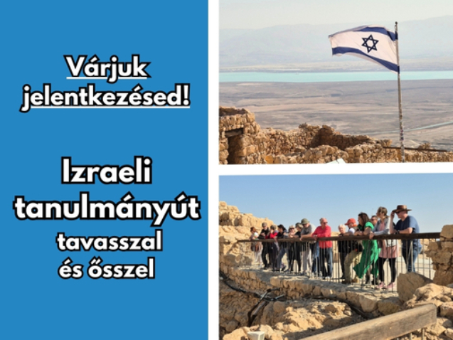 Gyüli, DOKK hírméret