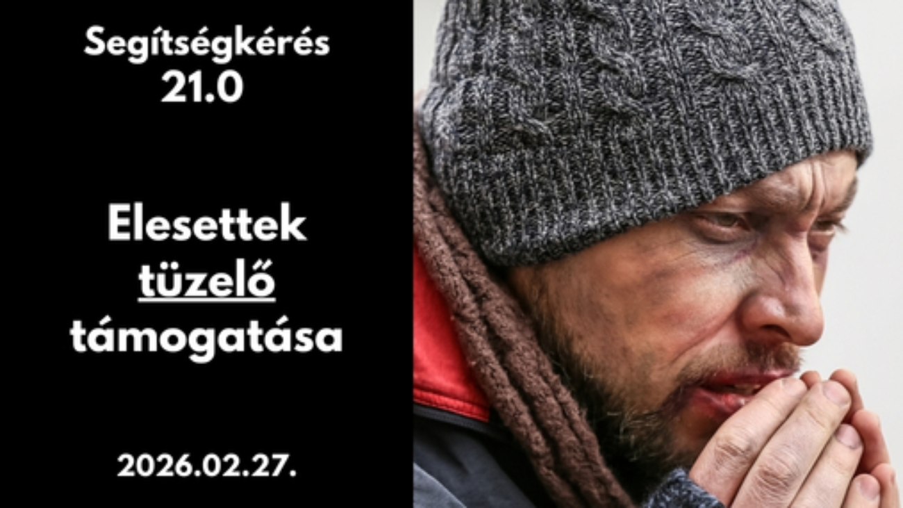 Gyüli, DOKK hírméret