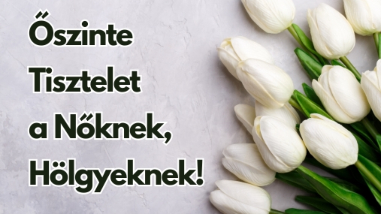 Gyüli, DOKK hírméret