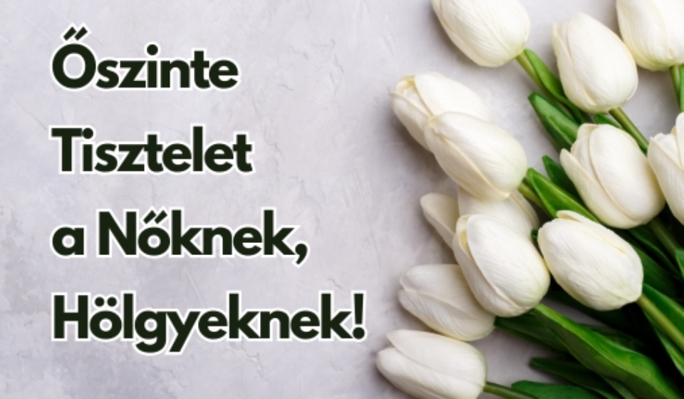 Gyüli, DOKK hírméret