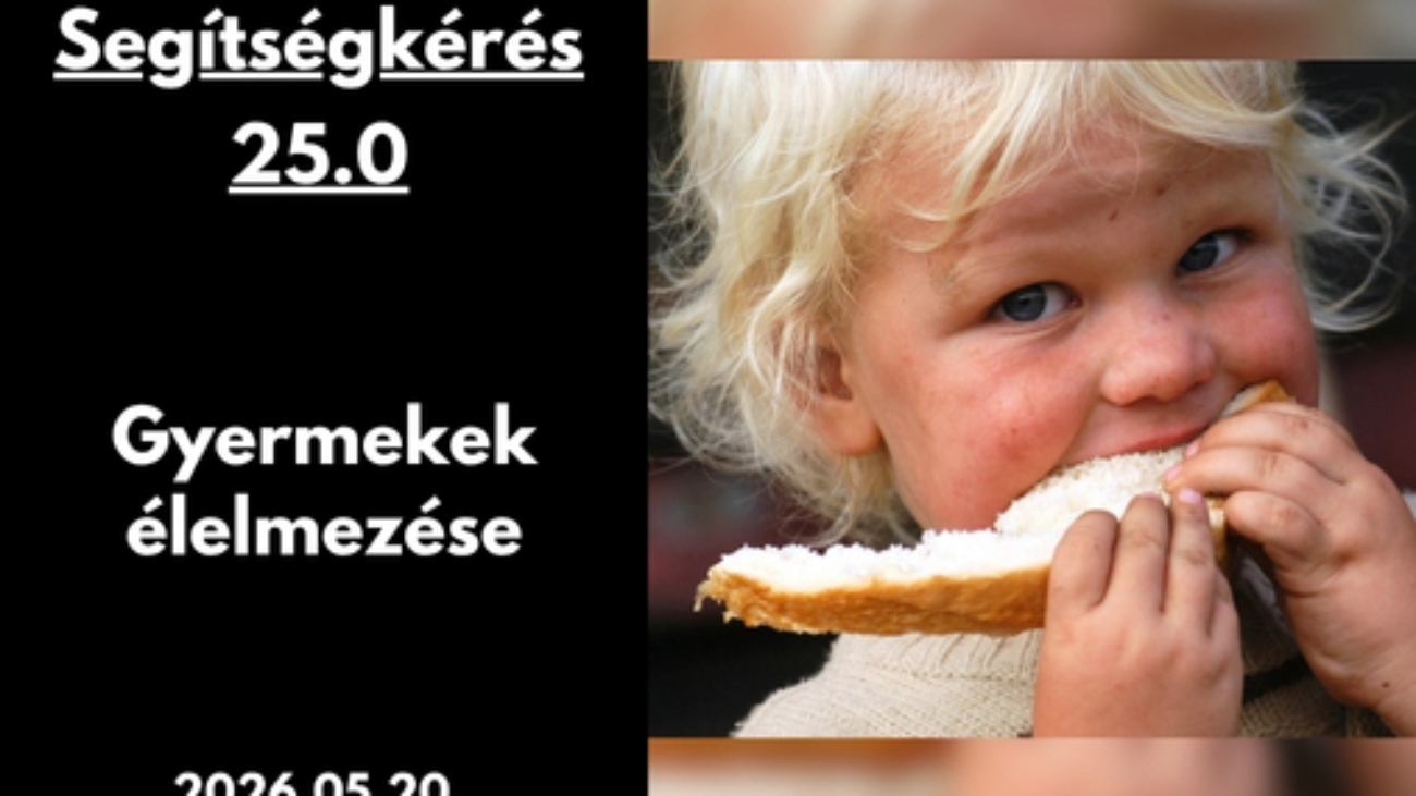 Gyüli, DOKK hírméret
