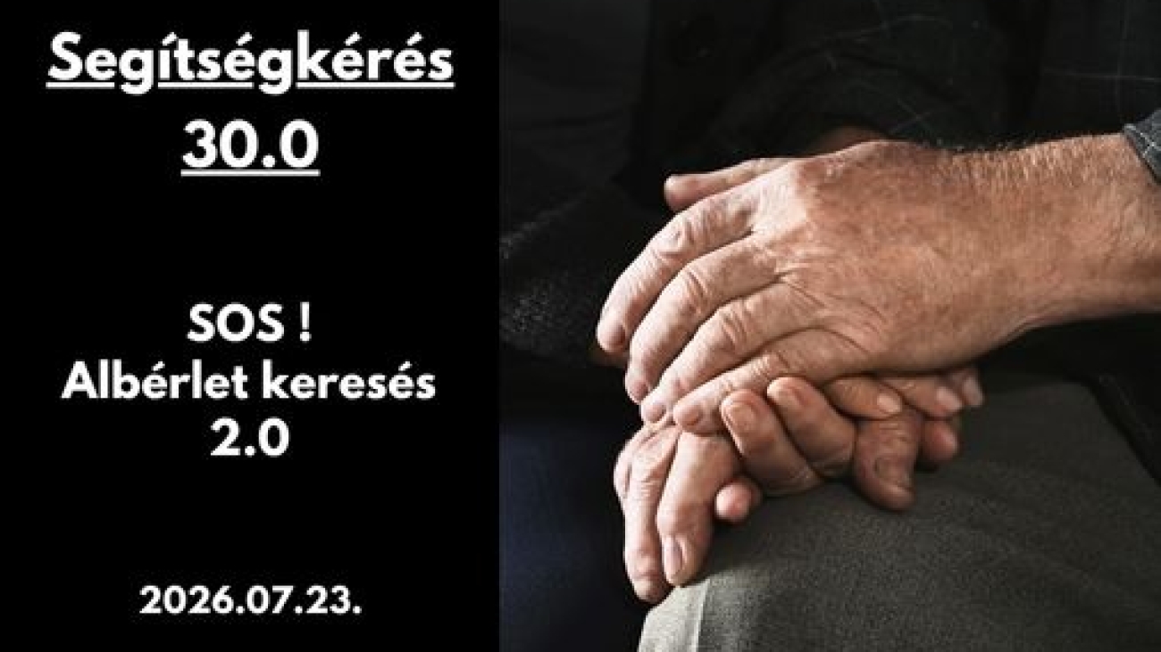 Gyüli, DOKK hírméret