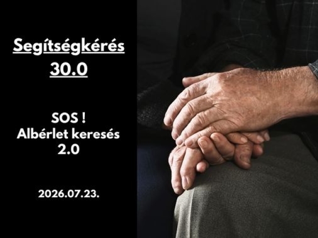 Gyüli, DOKK hírméret
