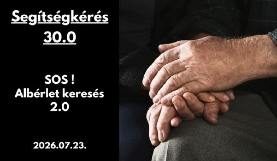 Gyüli, DOKK hírméret