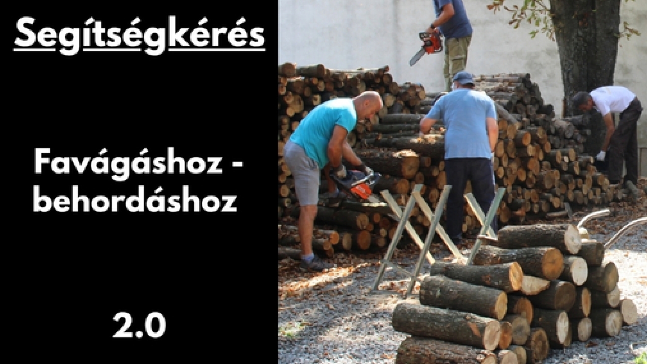 Gyüli, DOKK hírméret