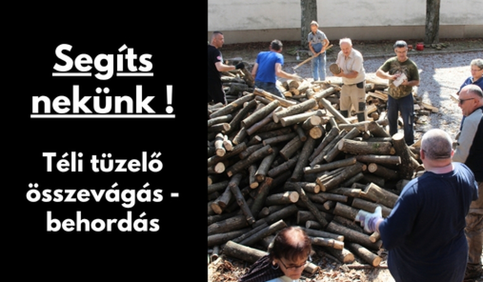Gyüli, DOKK hírméret
