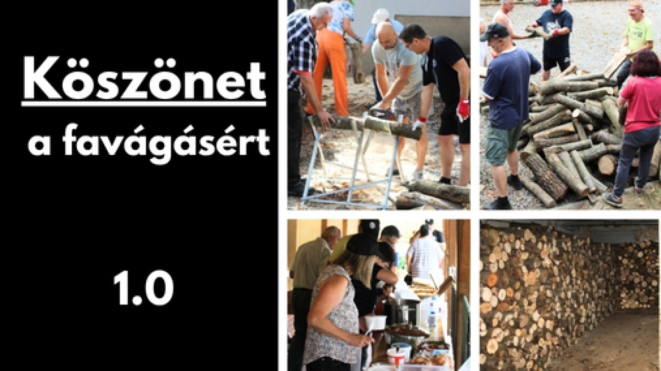 Gyüli, DOKK hírméret