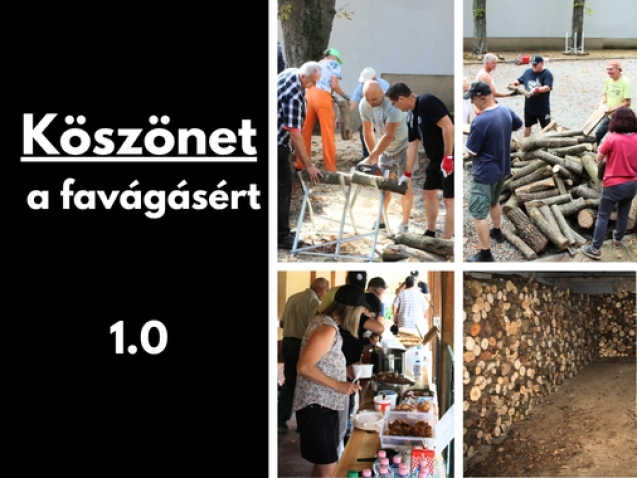 Gyüli, DOKK hírméret