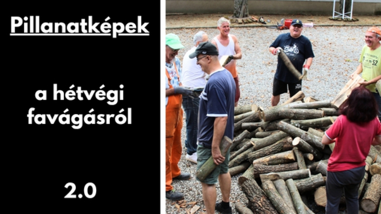 Gyüli, DOKK hírméret
