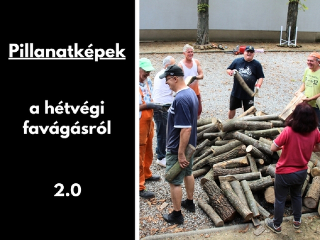 Gyüli, DOKK hírméret