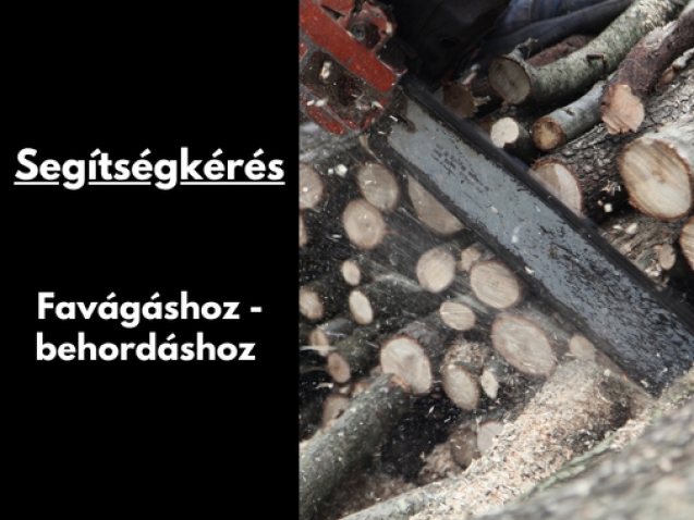 Gyüli, DOKK hírméret
